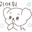 송댕송댕 이미지