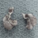 한라동물종합병원 이미지