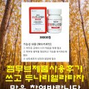 엘라이온