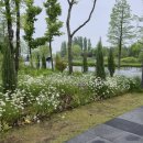 마곡타임공인중개사사무소 이미지