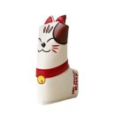 1381 이미지