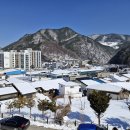화신촌 믹스카페