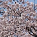 진모터스 이미지