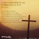 마태 이미지