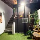 펫디저트(Pet Dessert) 이미지