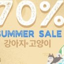 똥강아지 김해 강아지분양 고양이분양 이미지