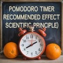 뽀모도로 이미지