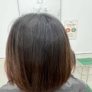 밝은헤어 | 구파발) 구파발미용실 살롱혜 단발컷 밝은톤 염색 여름 헤어 변신 후기
