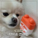 헬로펫 | 🐾 다이소제품으로 만나는 강아지 보습템! 헬로마이펫 견세린 사용 후기