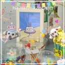 누닝 | [인천 청라] 강아지 수제 간식, 케이크 ㅣ누닝펫푸드 구매 후기