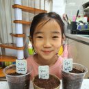 해담농장 이미지