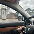 다복 | 청주 딸기 맛집 추천:) 가덕 문의 다복딸기 농장 방문후기/방갈로 강아지 동반 가능