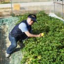 기석농장 이미지