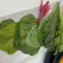 (주)채소미담 | 평촌역 맛집 평촌역 쌈밥집 채소미담