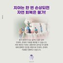 대정치과기공소 네이버블로그