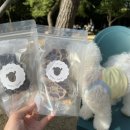 몽스토랑 이미지