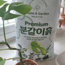 푸른환경주식회사 | 코팅비료로 오래가는 분갈이, 닥터조분갈이흙10L닥터조알비료케이500g후기