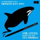 일민미술관 이미지