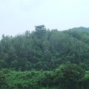 동산면사무소 이미지