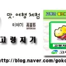 대가야센터-15 이미지