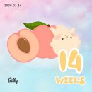 대명감자옹심이 | 산천어축제 취소표 | 산천어축제 임산부 주말 방문 후기 | 화천 시장 국밥 맛집 추천 | 마켓컬리 속초식...