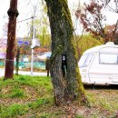 상보안세월교 이미지