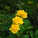 반야농장 이미지