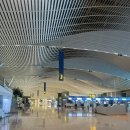 집집마다 미술관 | 251014-251016 후쿠오카 여행