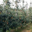 선재농장 이미지