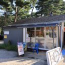 솔방울캠핑장 이미지