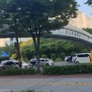 신나무실육교 이미지