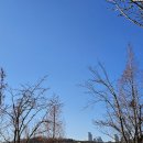 화성도시공사 체육시설 1부 동탄여울공원 축구장 | 동탄 여울공원 겨울 산책 가이드, 반려견과 함께 조용히 걷기 좋은 오산천 산책로