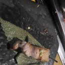 명동역 삼겹살 맛집 &#34;육통령 명동본점&#34; 내돈내산 후기