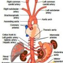 하대동379 이미지
