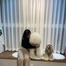 APEX GYM 네이버블로그