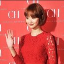 미헤어칼라 이미지