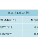 흥국생명보험(주)