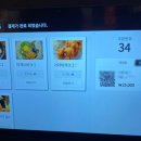 츠노야마 네이버블로그
