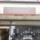 나무와 | 파주빵집 파주 헤이리마을 빵집 건강빵 치아바타 맛집 나무와 베이커리 내돈내산 후기