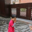 화원큰별유치원 이미지