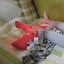 광희한의원 네이버블로그