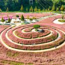 신소양체육공원 이미지