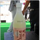 낭만제주투어