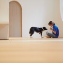 소노캄 고양 휘트니스 이미지