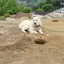 대원산업주식회사 이미지