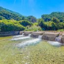 캠프더 포레 이미지