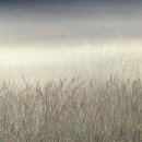 산들바람 이미지