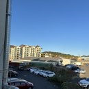 오렌다 핏 이미지