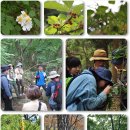 [모집] 숲생태 나무아카데미 제5기 교육생 모집 이미지