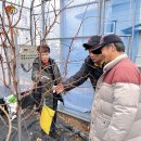 우래골 대추나무 농원 | 2026년 고품질 대추재배 교육 교육생 모집